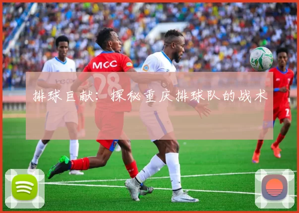 排球巨献：探秘重庆排球队的战术