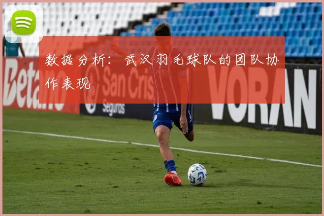 数据分析：武汉羽毛球队的团队协作表现