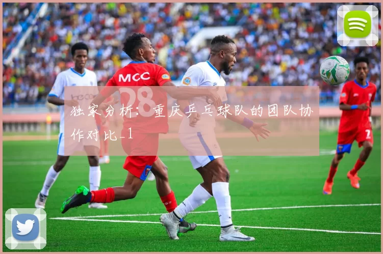 独家分析：重庆乒乓球队的团队协作对比_1