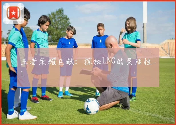 王者荣耀巨献：探秘LNG的灵活性_1