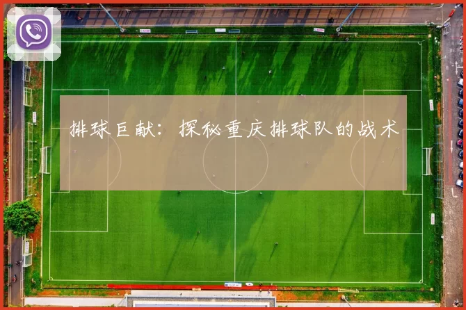 排球巨献：探秘重庆排球队的战术