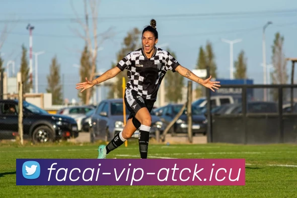 乐鱼体育发展历程